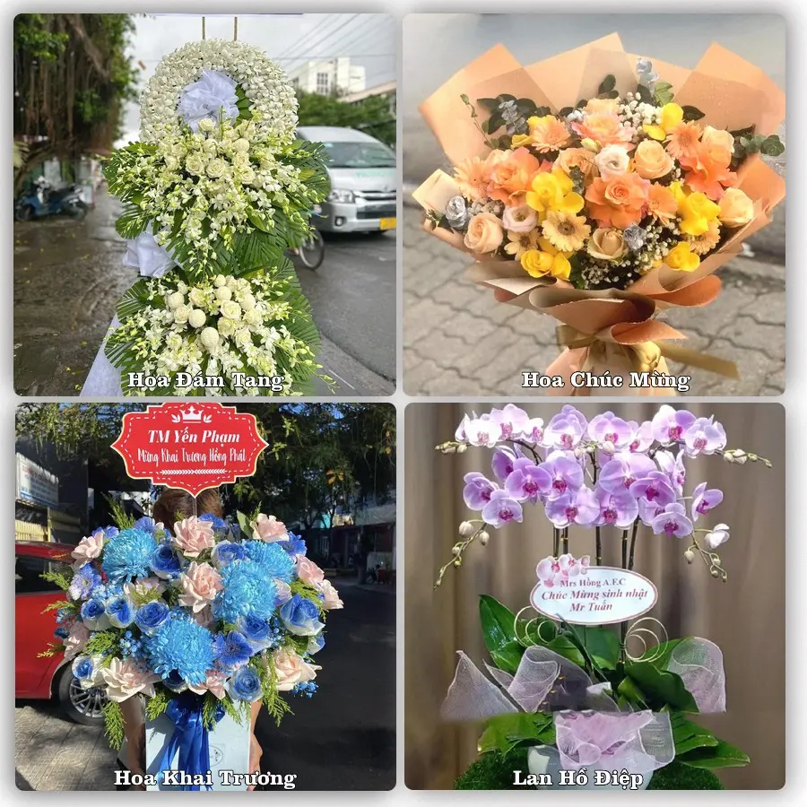 Tư vấn chọn hoa theo người nhận và dịp tặng tại Phường Điện Bàn - Thành phố Đà Nẵng