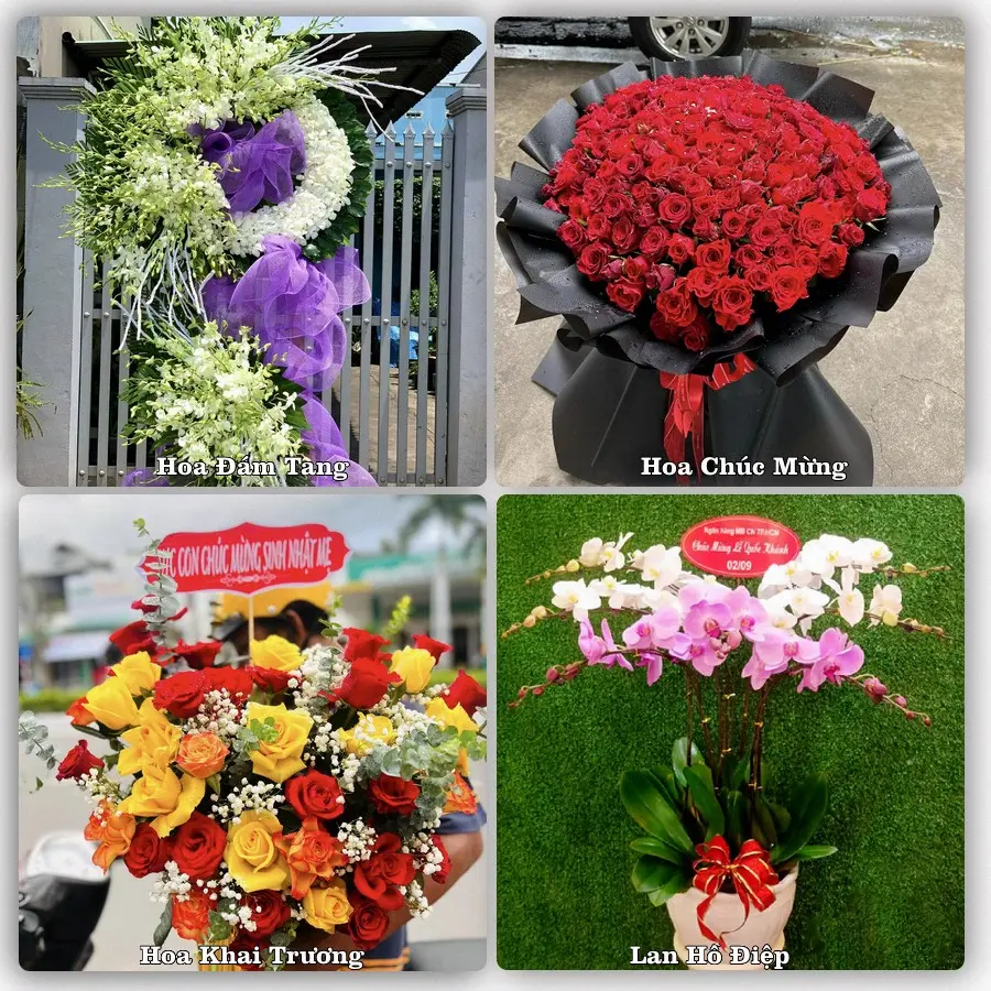 Tư vấn chọn hoa theo người nhận và dịp tặng tại Xã Hội Thịnh - Tỉnh Phú Thọ