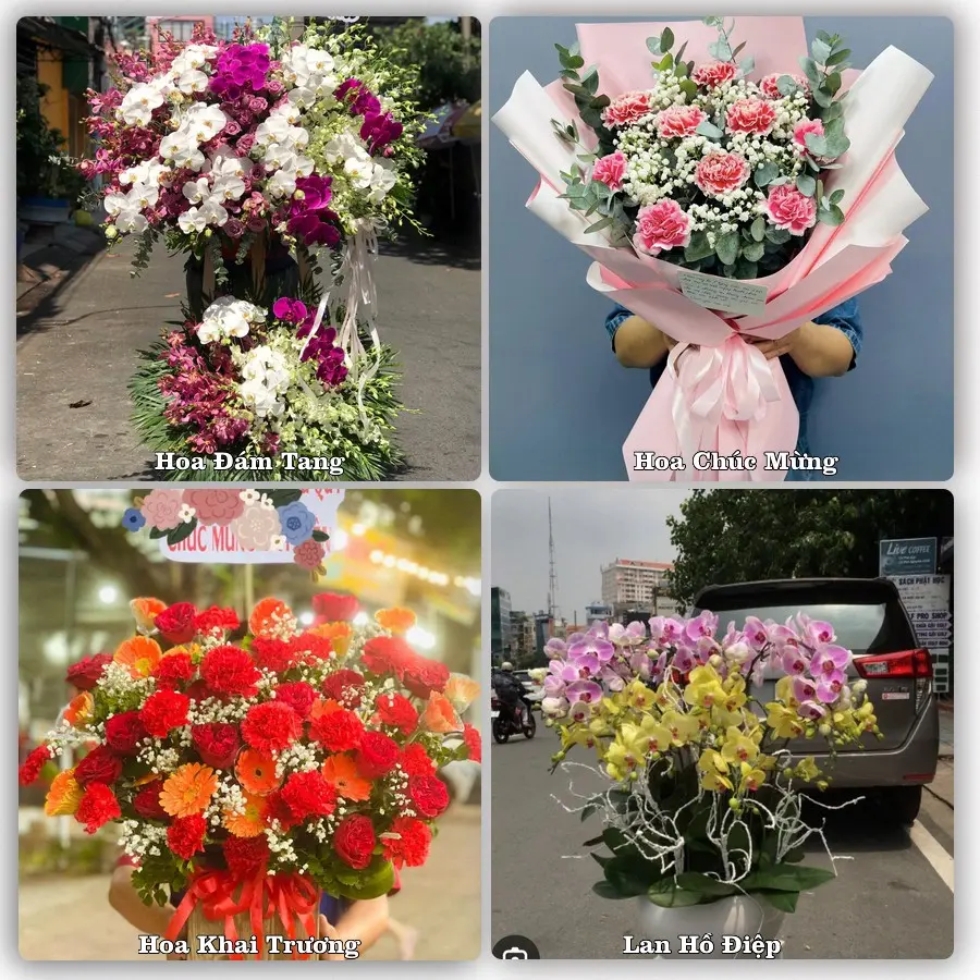 Tư vấn chọn hoa theo người nhận và dịp tặng tại Phường Ngã Bảy - Thành phố Cần Thơ