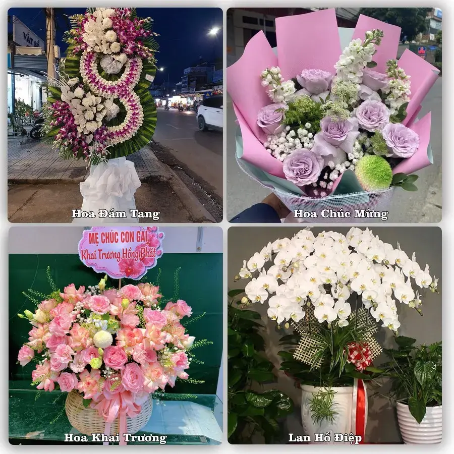 Tiệm hoa Xã Nghi Lộc, Nghệ An – chọn hoa theo người nhận và dịp