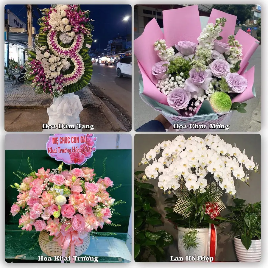 Mẫu hoa phục vụ nhu cầu đặt hoa tại Xã Nghi Lộc - Tỉnh Nghệ An