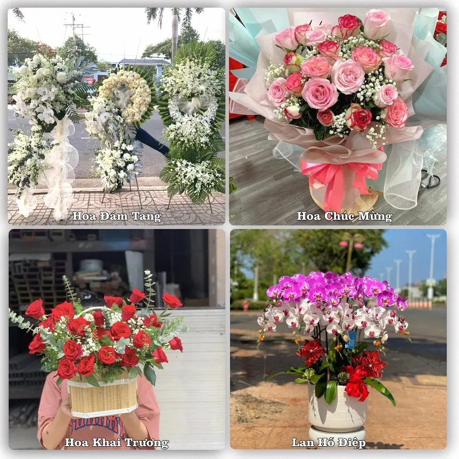 Tư vấn chọn hoa theo người nhận và dịp tặng tại Xã Nghi Lộc - Tỉnh Nghệ An