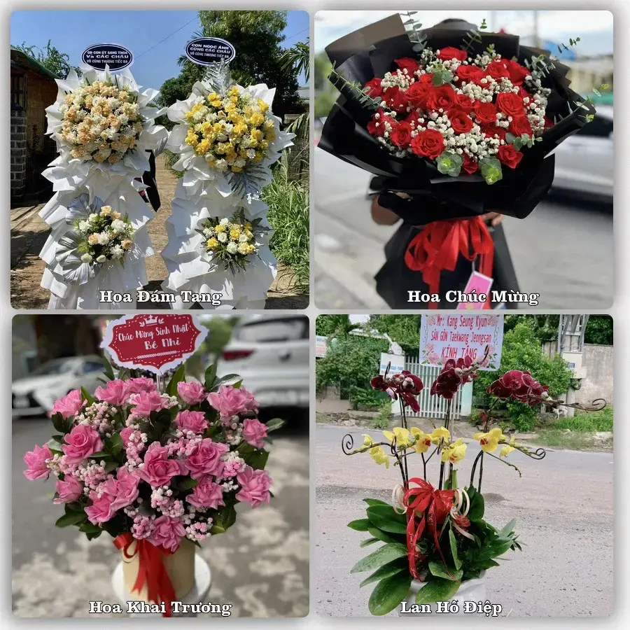 Tư vấn chọn hoa theo người nhận và dịp tặng tại Xã Phú Lộc - Thành phố Cần Thơ
