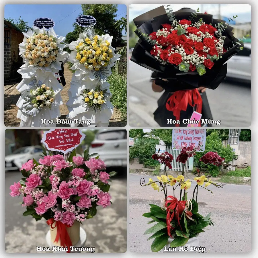 Tư vấn chọn hoa theo người nhận và dịp tặng tại Xã Phú Lộc - Thành phố Cần Thơ