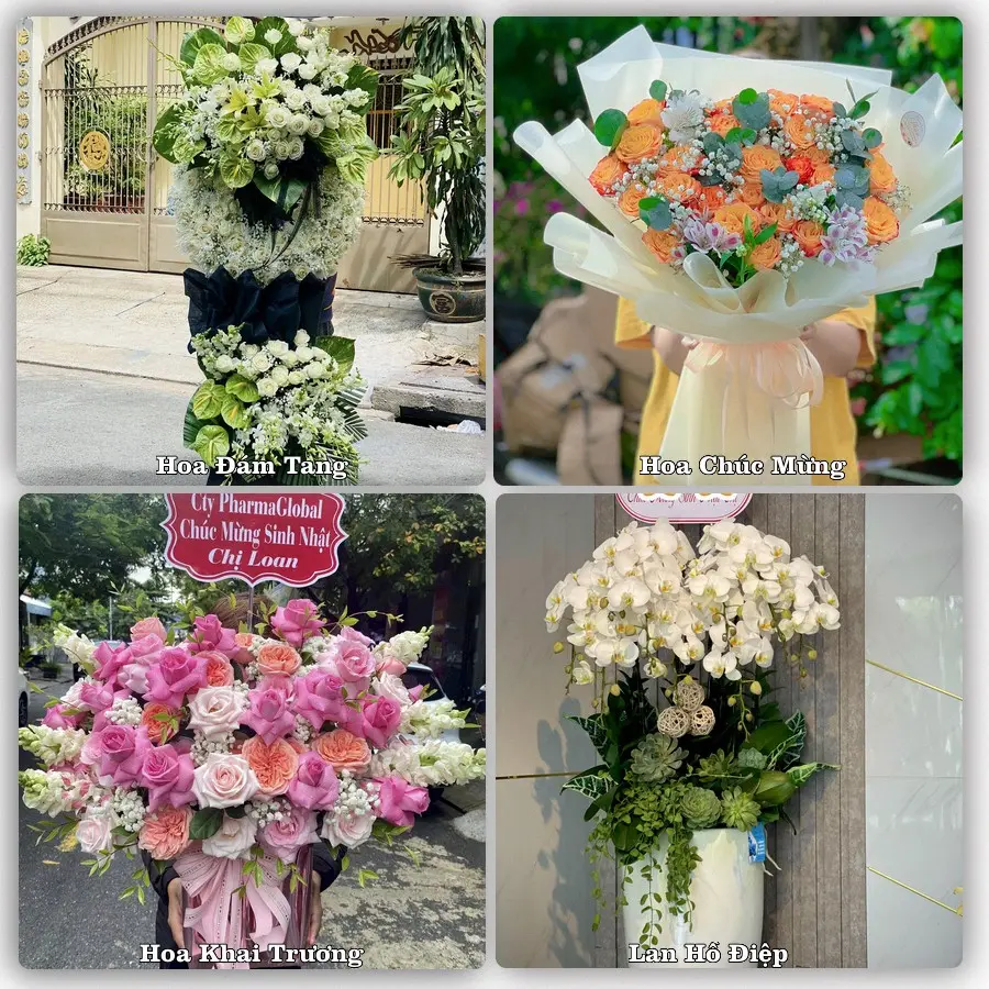 Mẫu hoa phục vụ nhu cầu đặt hoa tại Xã Trung Thành - Tỉnh Vĩnh Long