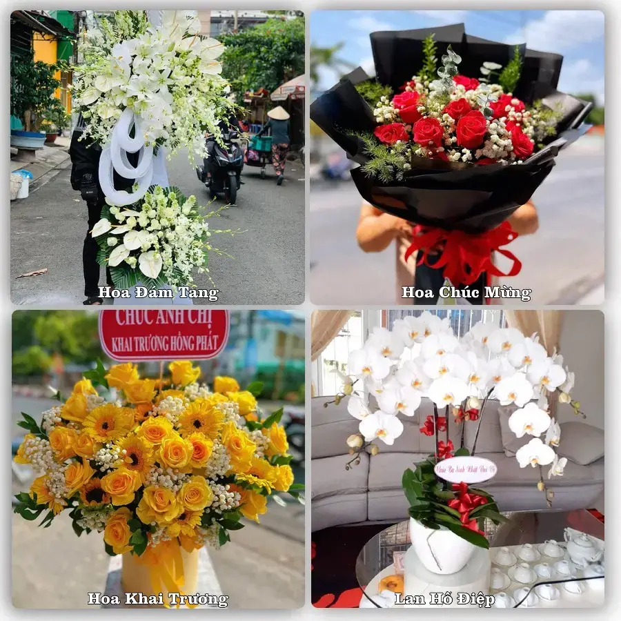 Tư vấn chọn hoa theo người nhận và dịp tặng tại Xã Yên Đồng - Tỉnh Ninh Bình