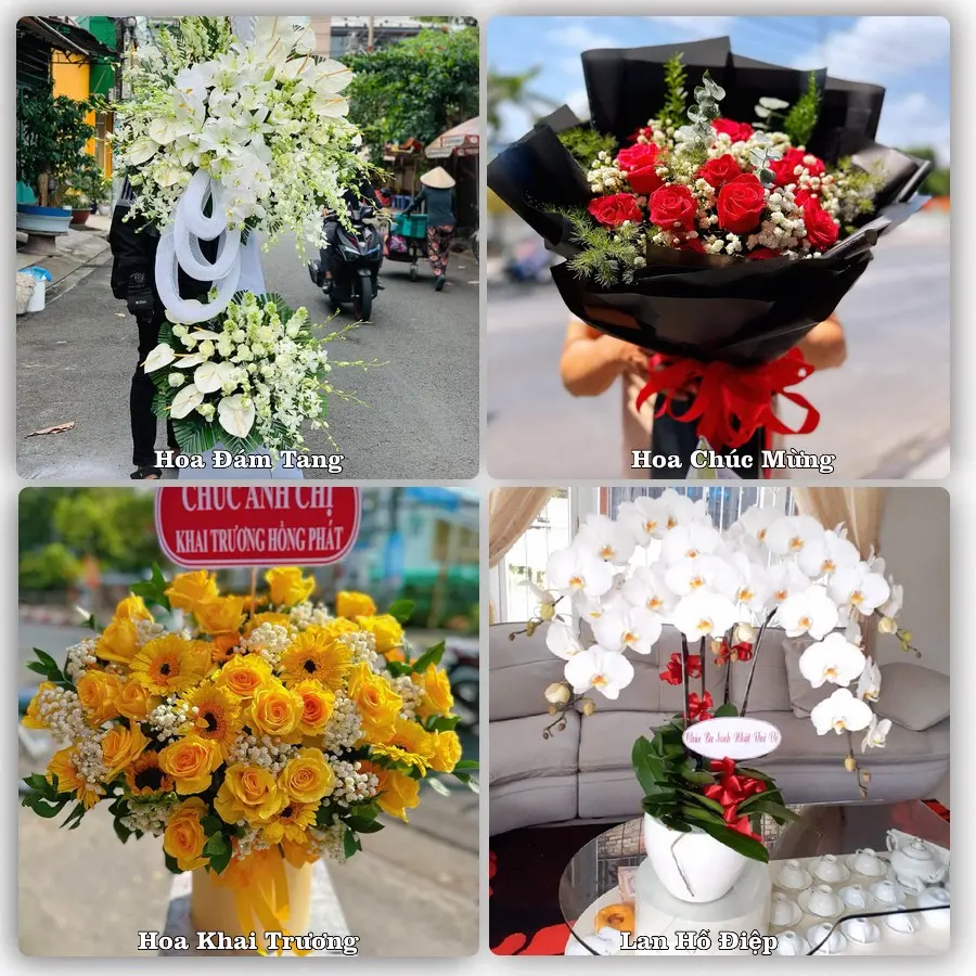 Tư vấn chọn hoa theo người nhận và dịp tặng tại Xã Yên Đồng - Tỉnh Ninh Bình