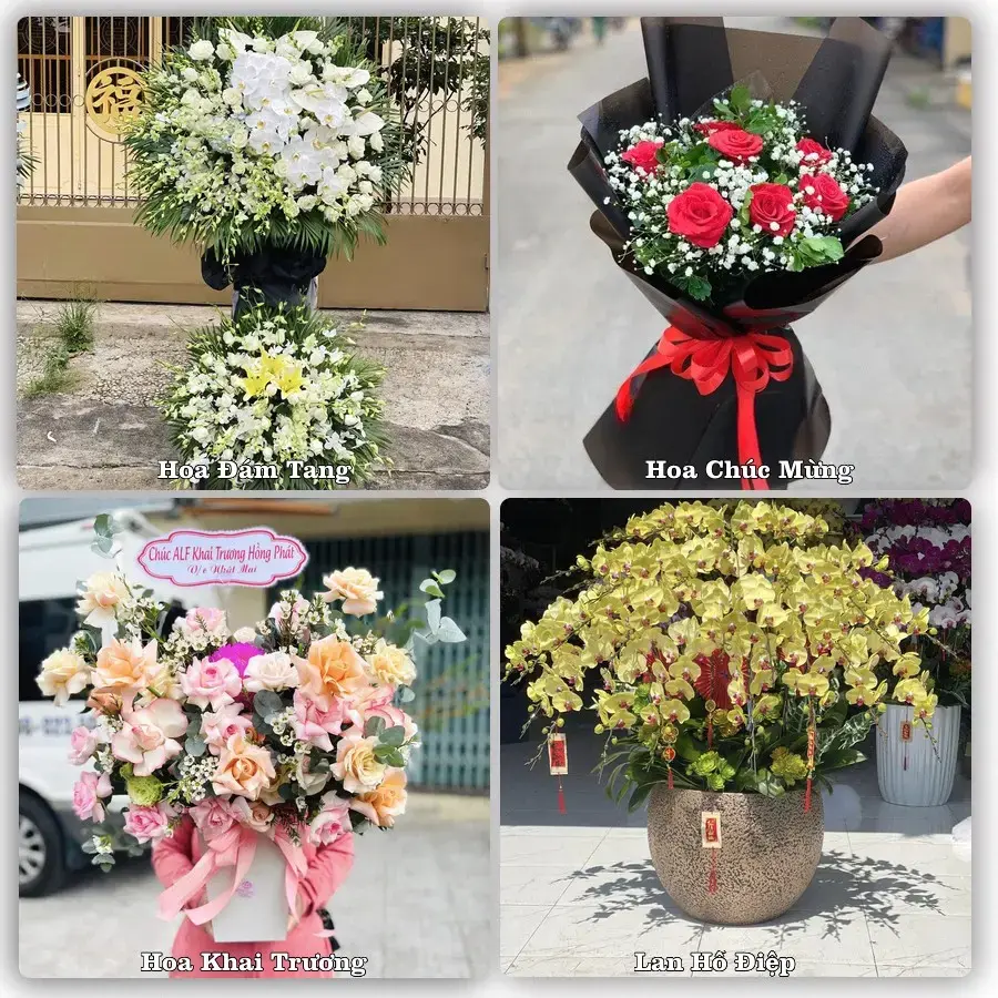 Tư vấn chọn hoa theo người nhận và dịp tặng tại Xã An Thành - Thành phố Hải Phòng