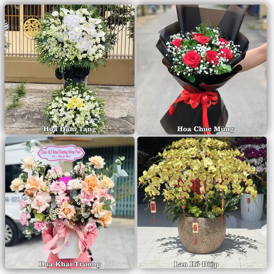 Tư vấn chọn hoa theo người nhận và dịp tặng tại Xã An Thành - Thành phố Hải Phòng