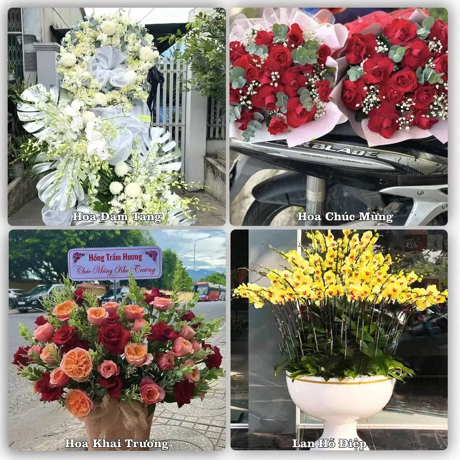Giao hoa tươi tại Xã Bình Lợi, Hồ Chí Minh – đặt mẫu online