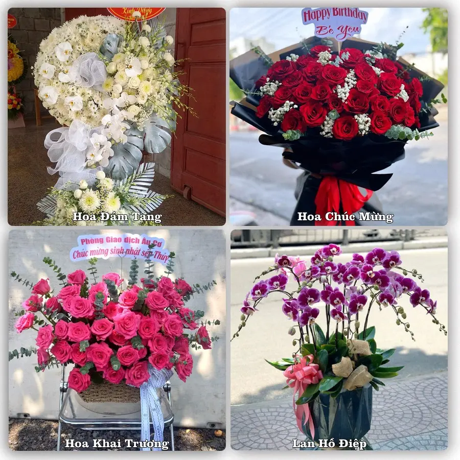 Tư vấn chọn hoa theo người nhận và dịp tặng tại Xã Bình Lợi - Thành phố Hồ Chí Minh