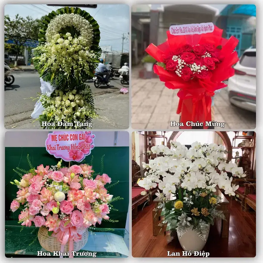 Giao hoa tươi tại Xã Cờ Đỏ, Cần Thơ – đặt mẫu online