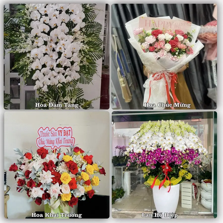 Tư vấn chọn hoa theo người nhận và dịp tặng tại Xã Cờ Đỏ - Thành phố Cần Thơ