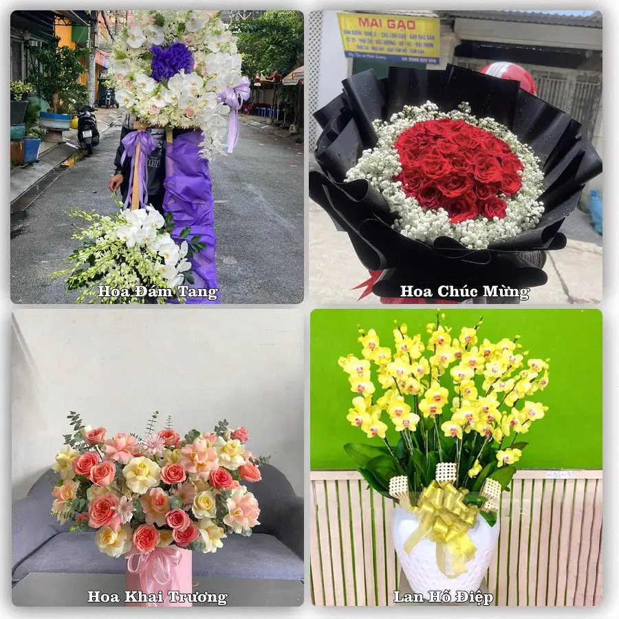 Tư vấn chọn hoa theo người nhận và dịp tặng tại Xã Đức Châu - Tỉnh Nghệ An