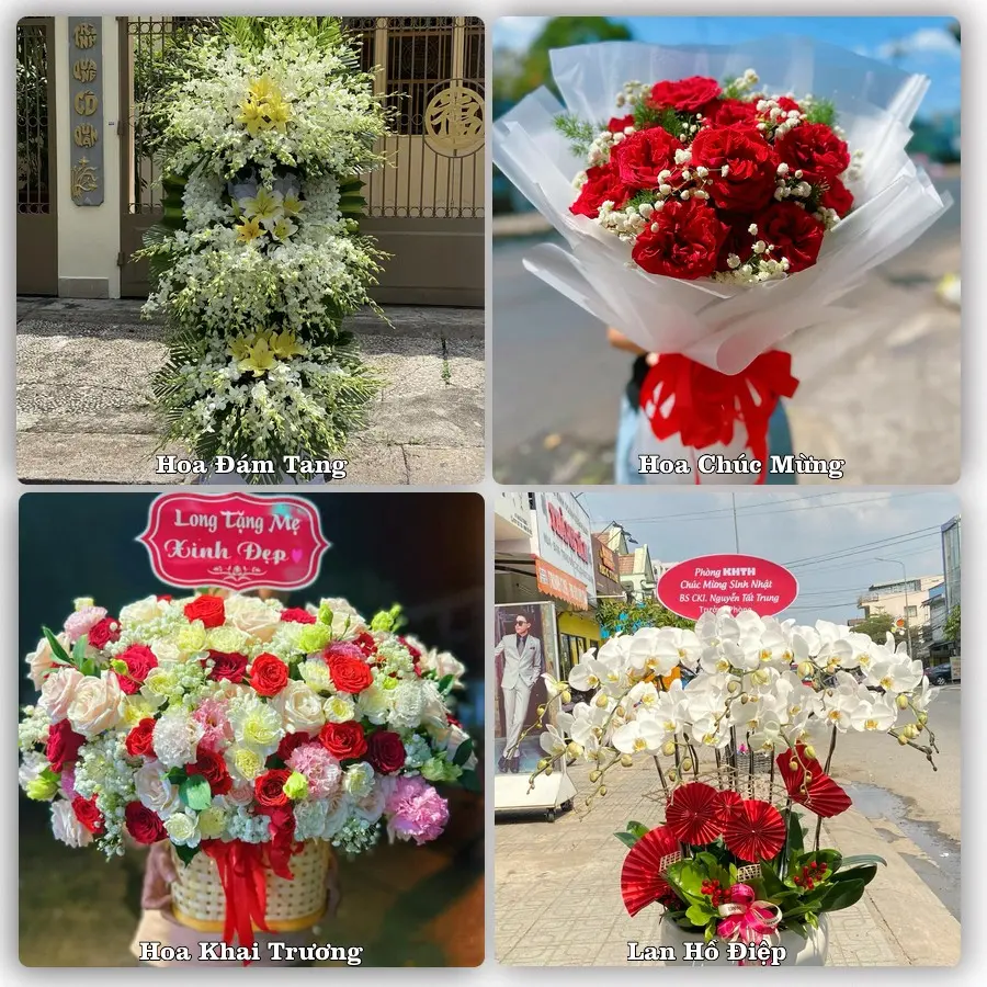 Mẫu hoa phục vụ nhu cầu đặt hoa tại Phường Kỳ Lừa - Tỉnh Lạng Sơn