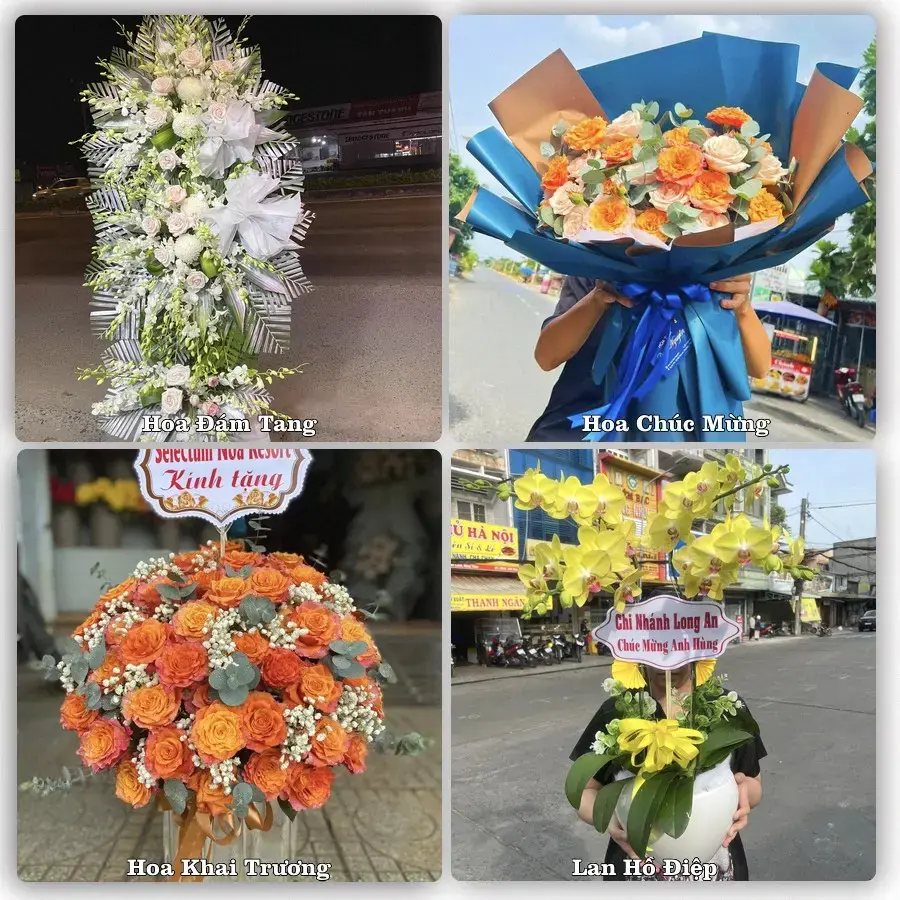 Shop hoa tươi Phường Long Phú, An Giang – đặt hoa theo dịp, giao tận nơi