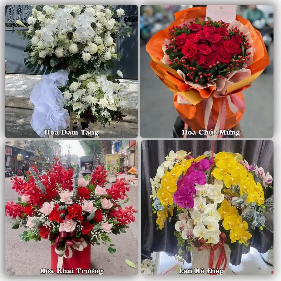 Tư vấn chọn hoa theo người nhận và dịp tặng tại Xã Ninh Giang - Tỉnh Ninh Bình