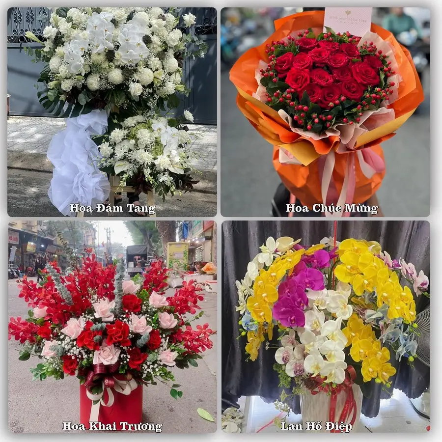 Tư vấn chọn hoa theo người nhận và dịp tặng tại Xã Ninh Giang - Tỉnh Ninh Bình