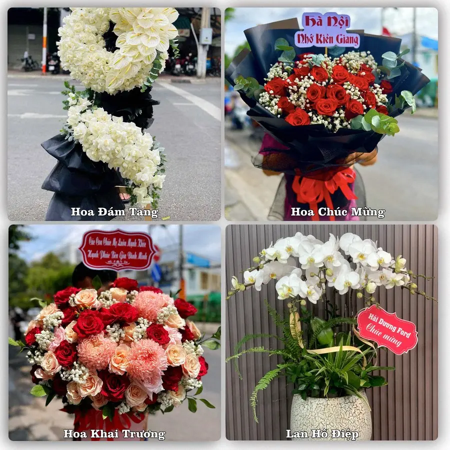 Tư vấn chọn hoa theo người nhận và dịp tặng tại Xã Phú Nghĩa - Thành phố Hà Nội