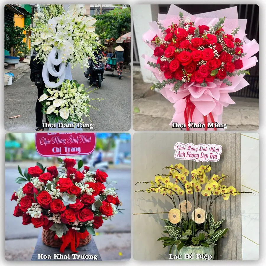 Mẫu hoa phục vụ nhu cầu đặt hoa tại Xã Phúc Sơn - Thành phố Hà Nội
