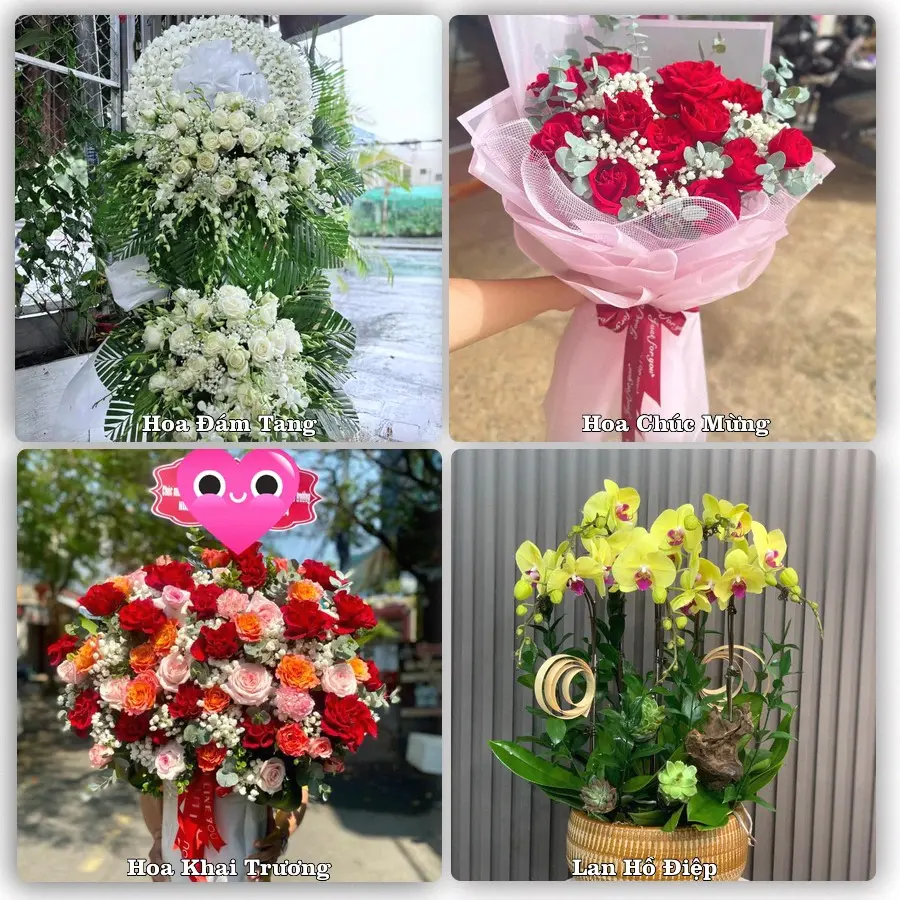 Tư vấn chọn hoa theo người nhận và dịp tặng tại Xã Phúc Sơn - Thành phố Hà Nội