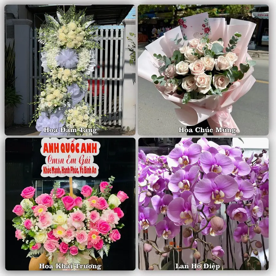 Dịch vụ đặt hoa và giao tận nơi tại Phường Phước Thắng - Thành phố Hồ Chí Minh