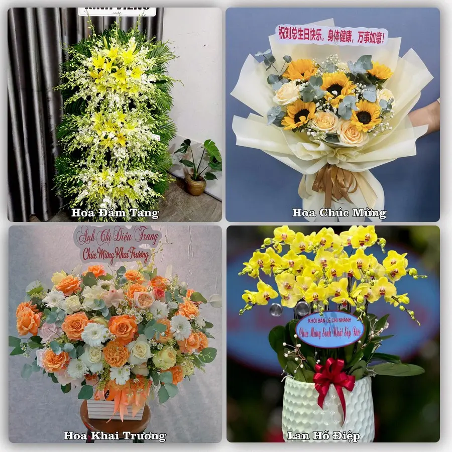 Mẫu hoa phục vụ nhu cầu đặt hoa tại Phường Phước Thắng - Thành phố Hồ Chí Minh