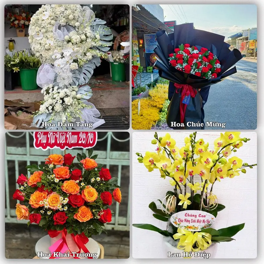 Tư vấn chọn hoa theo người nhận và dịp tặng tại Phường Phước Thắng - Thành phố Hồ Chí Minh