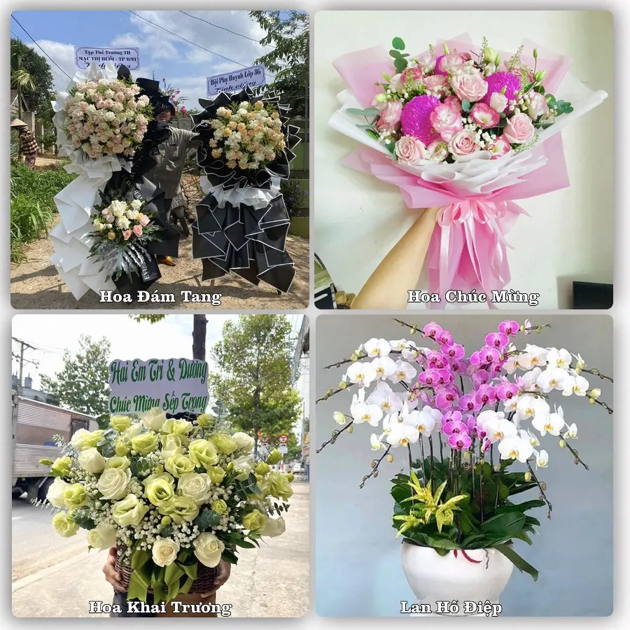 Dịch vụ đặt hoa và giao tận nơi tại Phường Quy Nhơn Bắc - Tỉnh Gia Lai