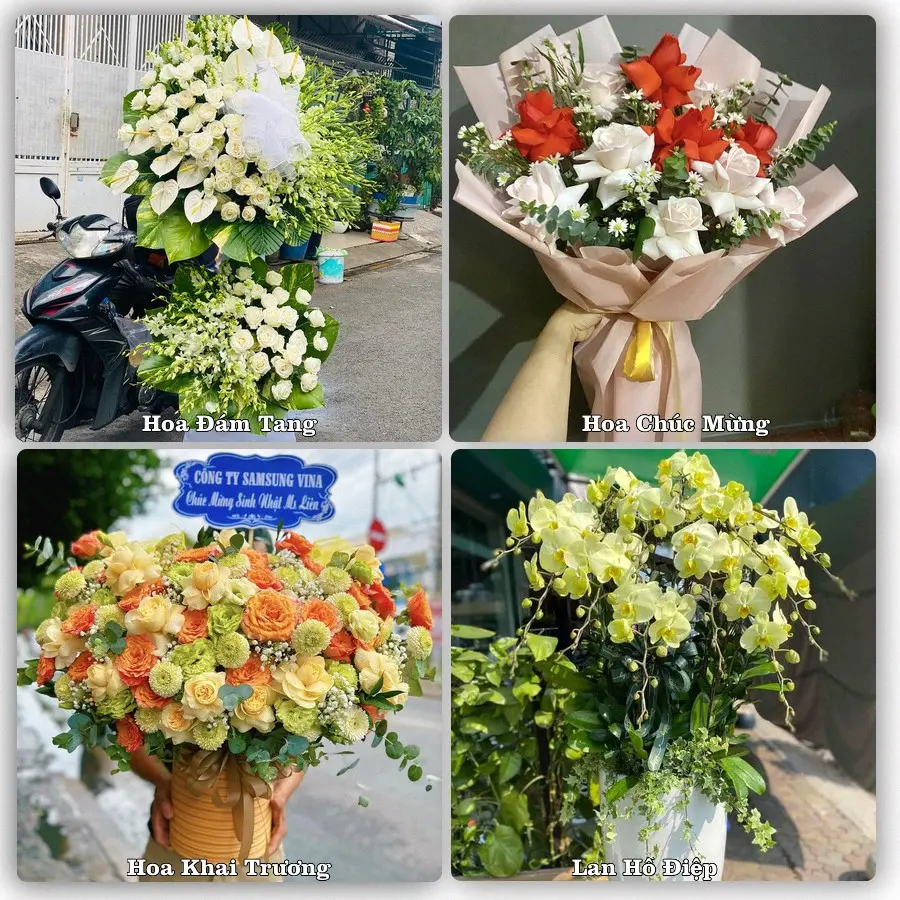 Dịch vụ đặt hoa và giao tận nơi tại Xã Tam Xuân - Thành phố Đà Nẵng