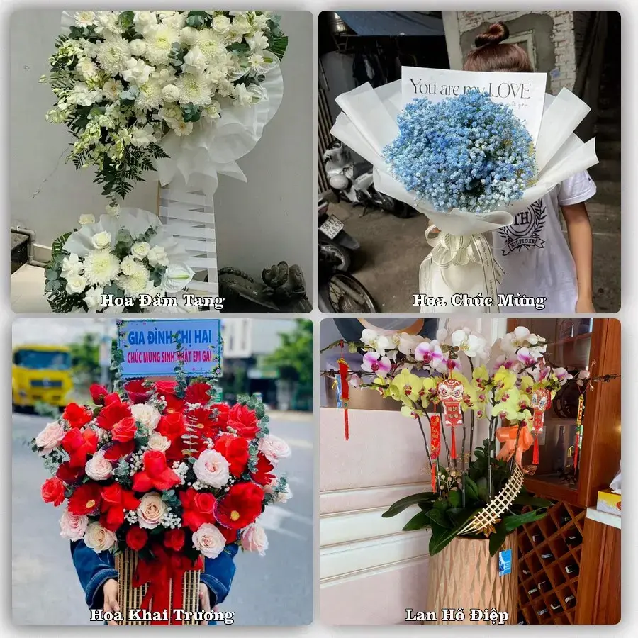 Giao hoa tươi tại Xã Tam Xuân, Đà Nẵng – đặt mẫu online