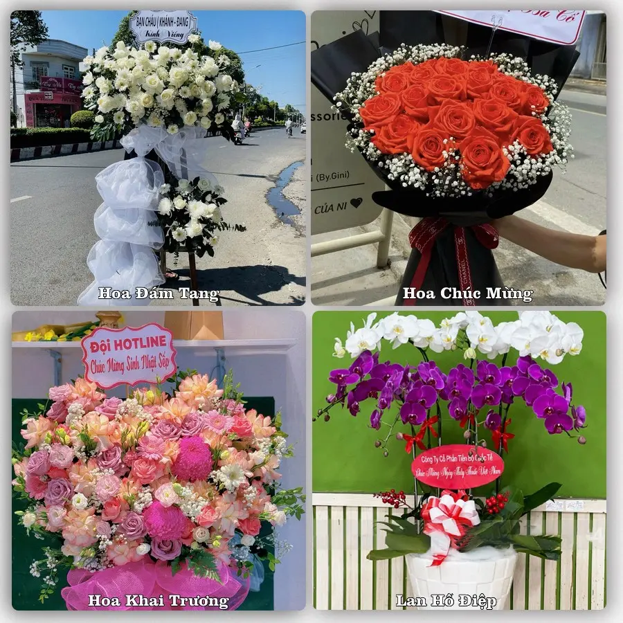 Tư vấn chọn hoa theo người nhận và dịp tặng tại Phường Tô Hiệu - Tỉnh Sơn La