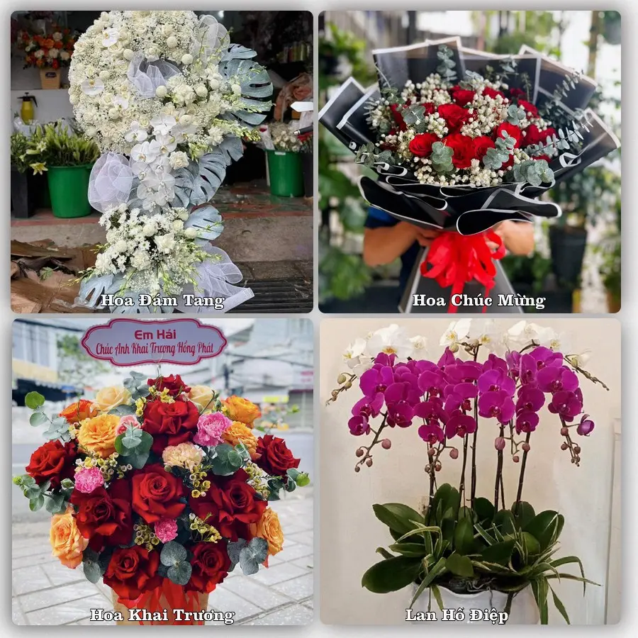 Mẫu hoa phục vụ nhu cầu đặt hoa tại Xã Trung Giã - Thành phố Hà Nội