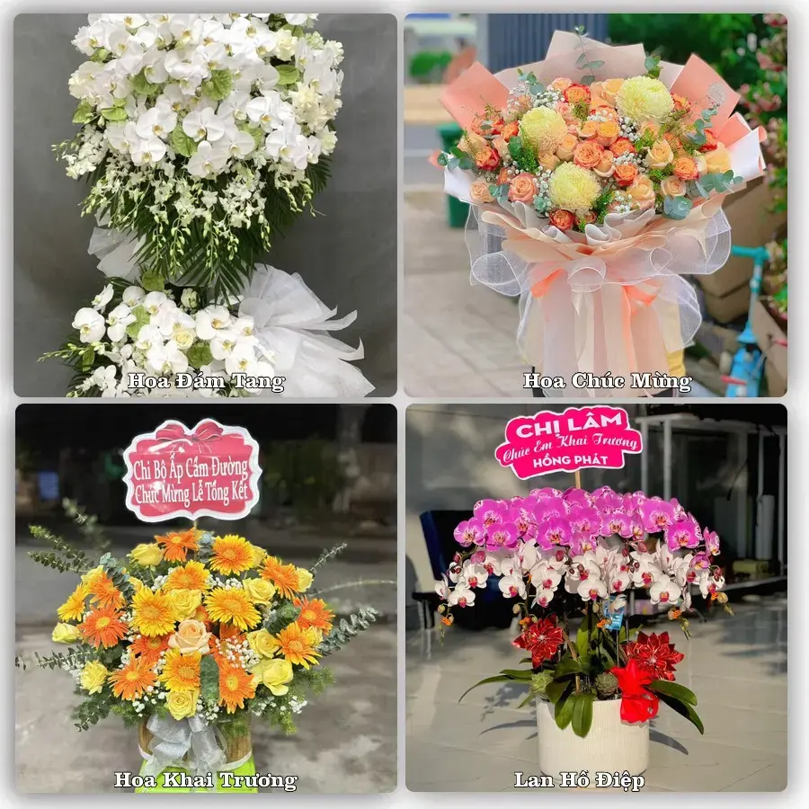 Tư vấn chọn hoa theo người nhận và dịp tặng tại Xã Xuân Lập - Tỉnh Thanh Hóa