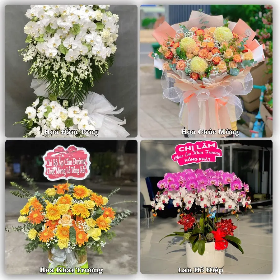 Tư vấn chọn hoa theo người nhận và dịp tặng tại Xã Xuân Lập - Tỉnh Thanh Hóa