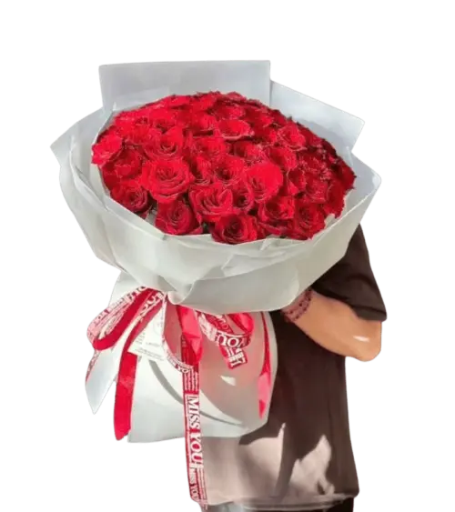 Bó hoa hồng đỏ gói trắng dải ruy băng