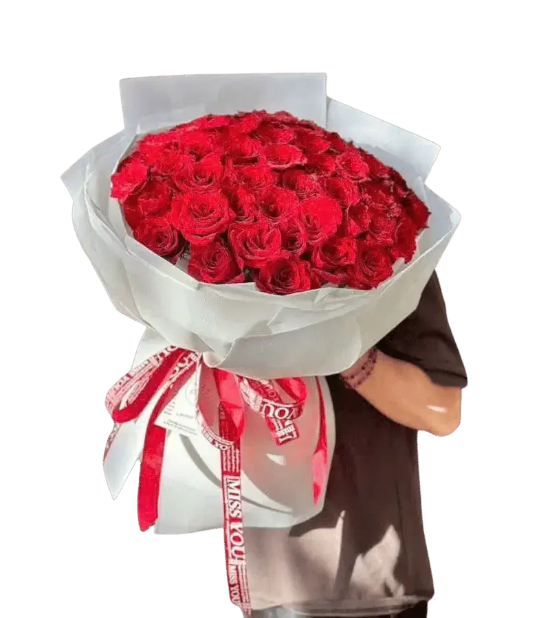 Bó hoa hồng đỏ gói trắng dải ruy băng
