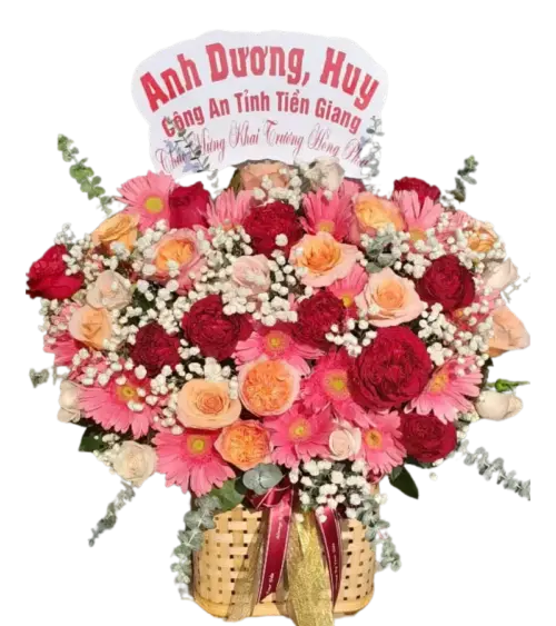 Giỏ hoa hồng đỏ cam đồng tiền hồng khai trương