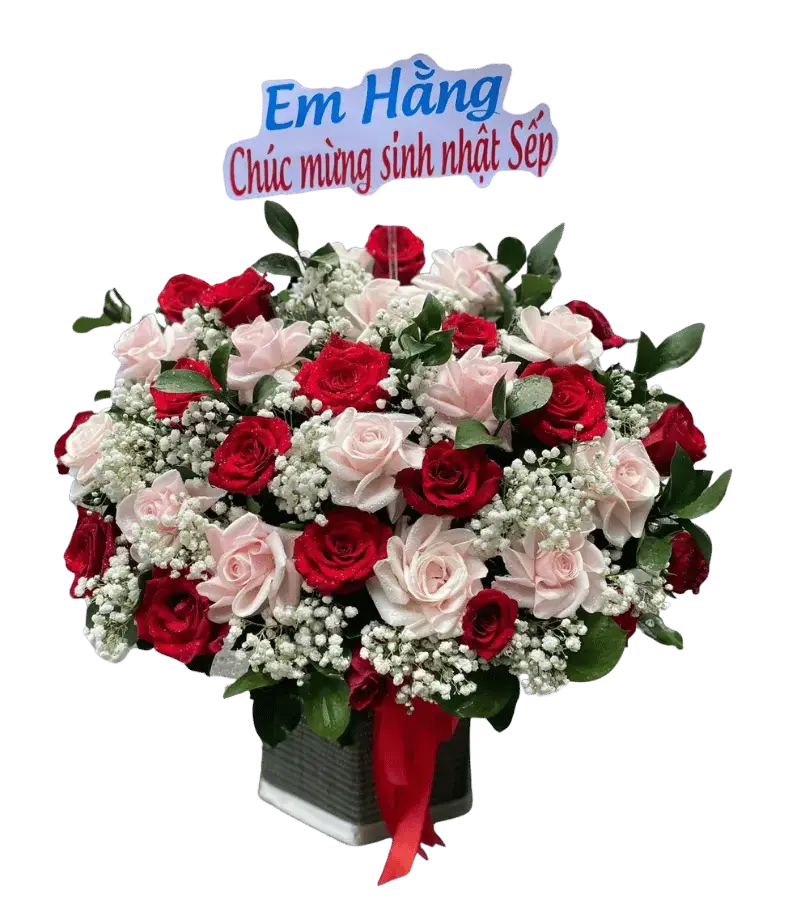Giỏ hoa hồng đỏ trắng baby sinh nhật