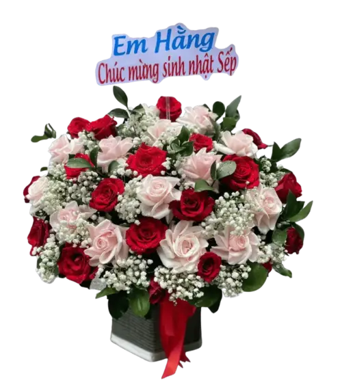 Giỏ hoa hồng đỏ trắng baby sinh nhật