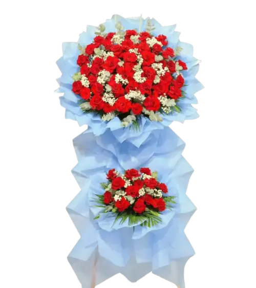 Kệ hoa khai trương đỏ bọc giấy xanh nhạt