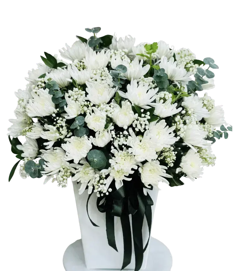 Bình hoa cúc trắng chia buồn