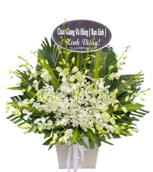 Giỏ hoa lan trắng chia buồn có bảng kính viếng
