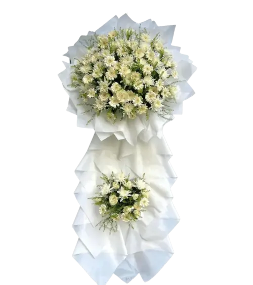 Kệ hoa cúc trắng đồng tiền trắng hai tầng gói trắng