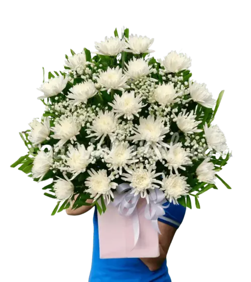 Bó hoa cúc trắng chia buồn