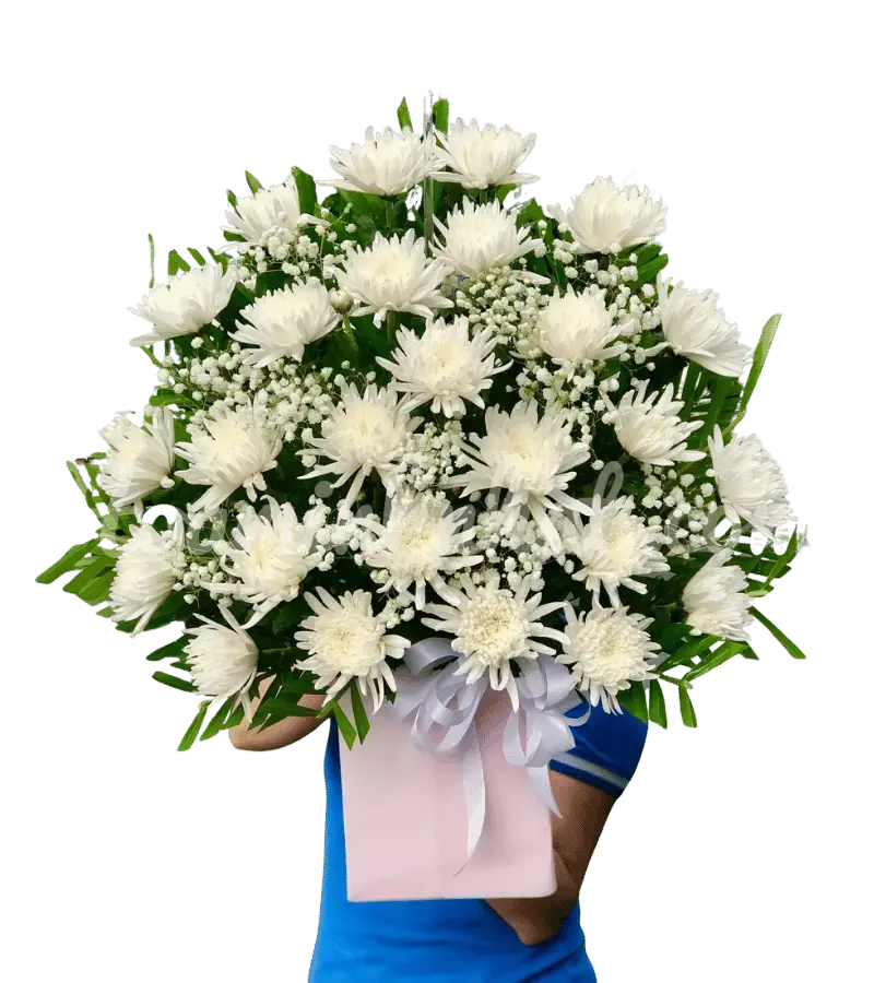 Bó hoa cúc trắng chia buồn