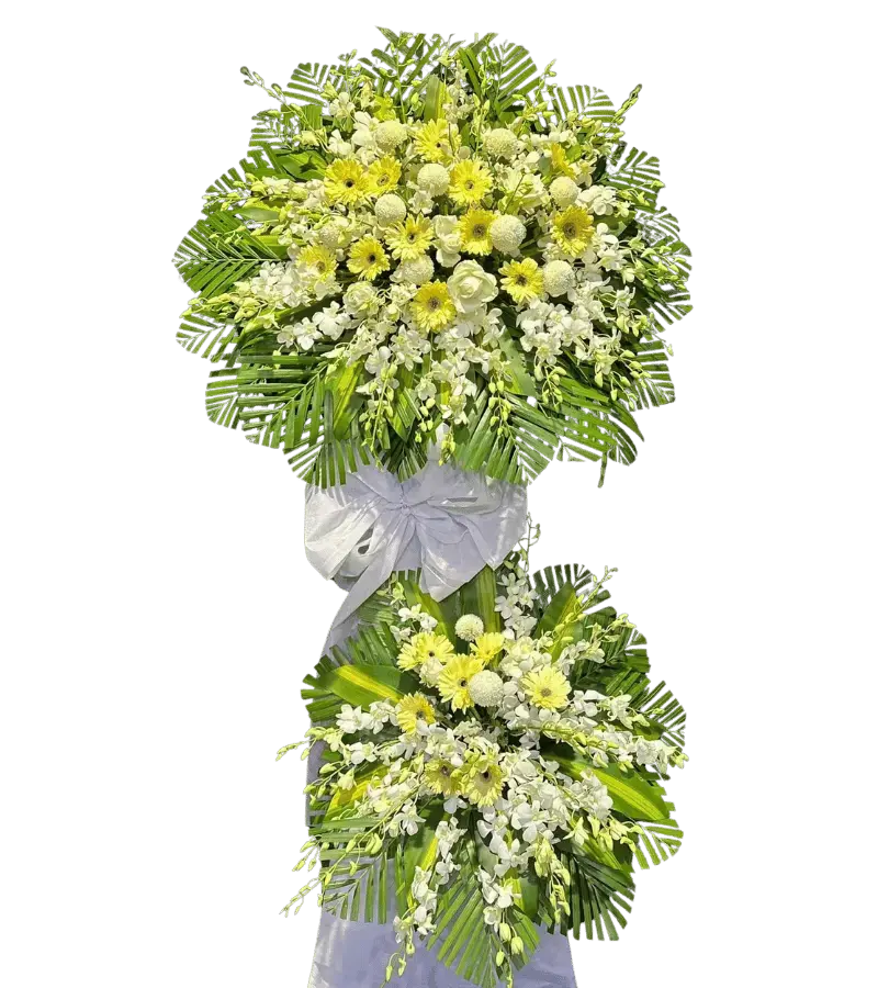 Kệ hoa chia buồn đồng tiền vàng lan trắng