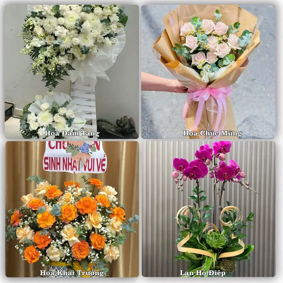 Mẫu hoa tươi dành cho khách đặt hoa tại An Bài, Quỳnh Phụ