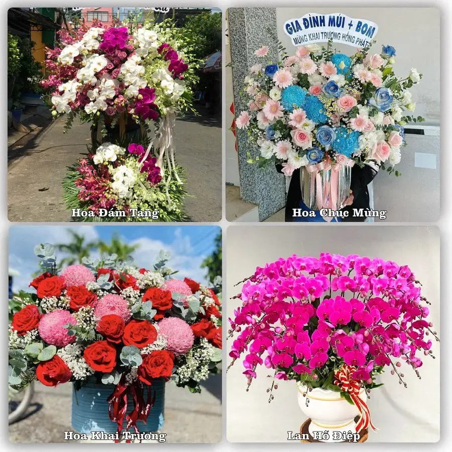 Shop hoa tươi An Châu, Sơn Động – Nhận giao hoa trong ngày
