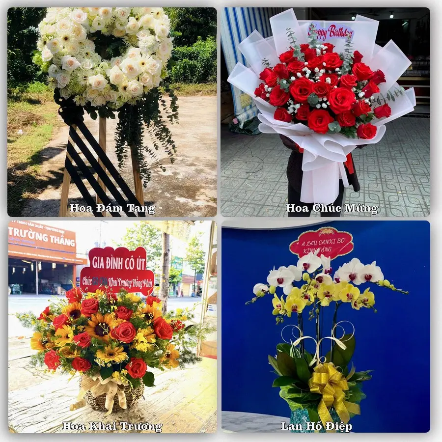 Tư vấn chọn hoa theo từng dịp tại An Dương